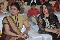 Celebs at Bruce Lee Audio Launch